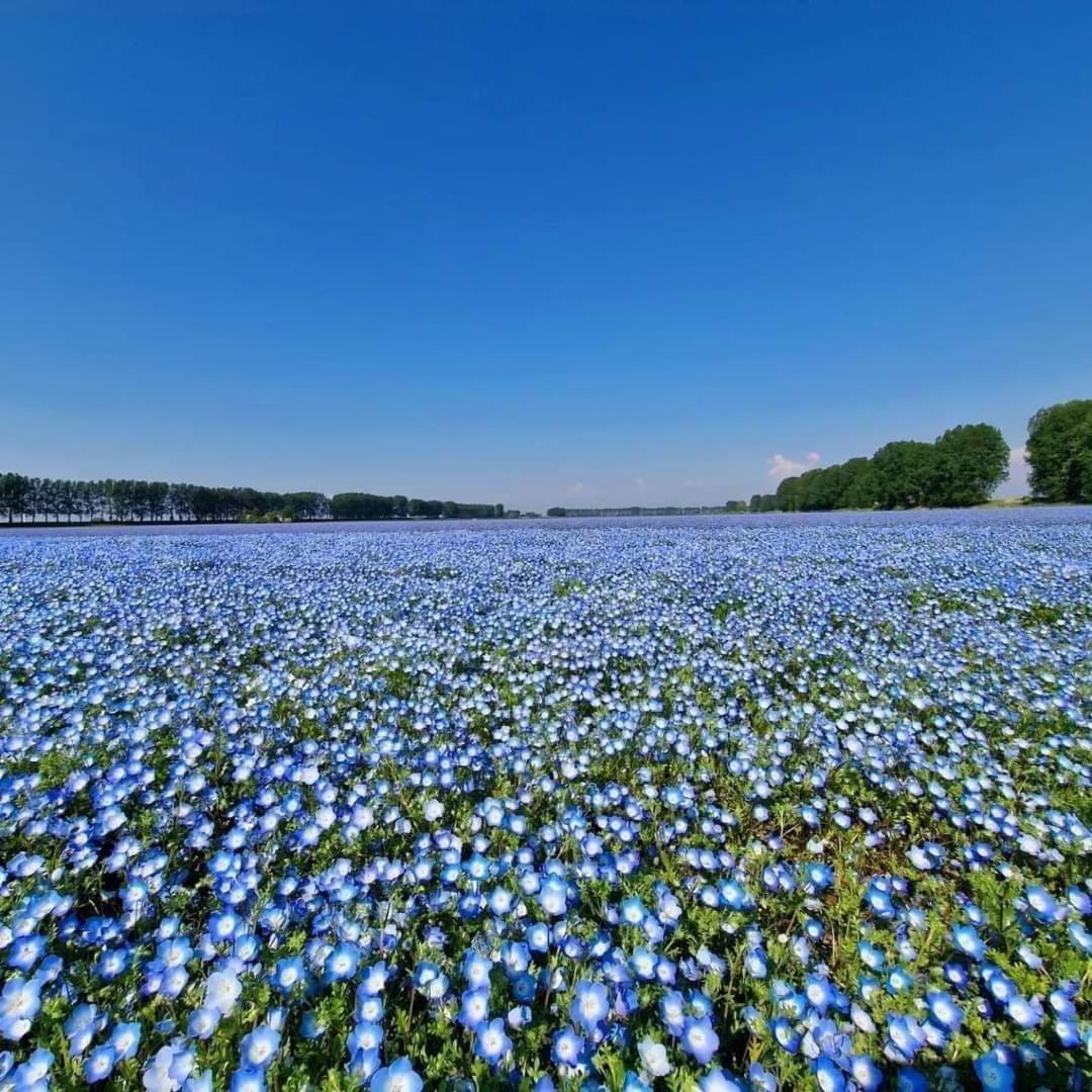 De Corner Van Zeeland Met Jacuzzi Sint Annaland Zewnętrze zdjęcie